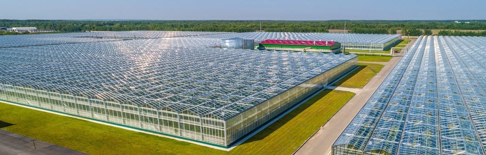 Smart Greenhouses 'Cloud Farms'