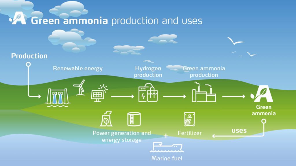 Green Ammonia Supply Chain